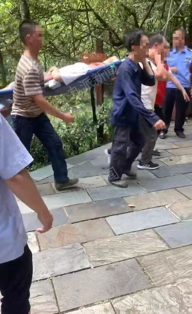 重庆两名游客被景区枯树砸中，当地文旅局已介入调查，景区：今日不开放，做安全排查