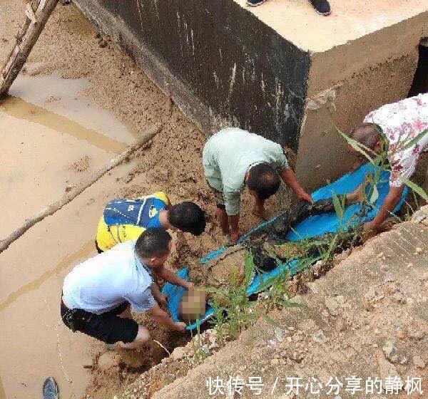 工地|在山沟、工地、荆棘丛中的一本警察日记！