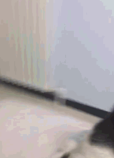 GIF|搞笑GIF:看到最后我就放心了!