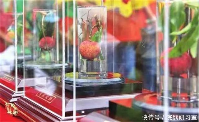 尚书|广东一天价荔枝,一颗55万,杨贵妃吃过,“母树”存活400年