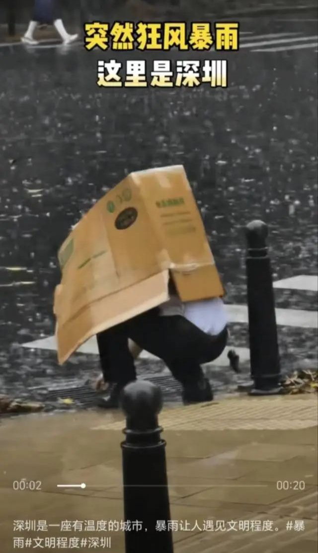 暴雨中的“纸箱哥”，找到了！