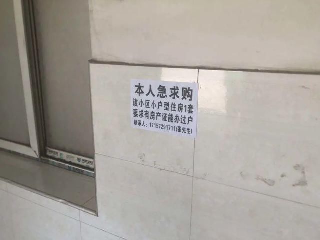 垃圾未清理|【曝光台】8月11日：鄂州部分乡镇不文明行为曝光！泽林镇问题依旧突出