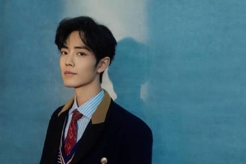  无可|肖战顶流定位无可撼动两大电视台为他辟谣，46万人线上为他投票