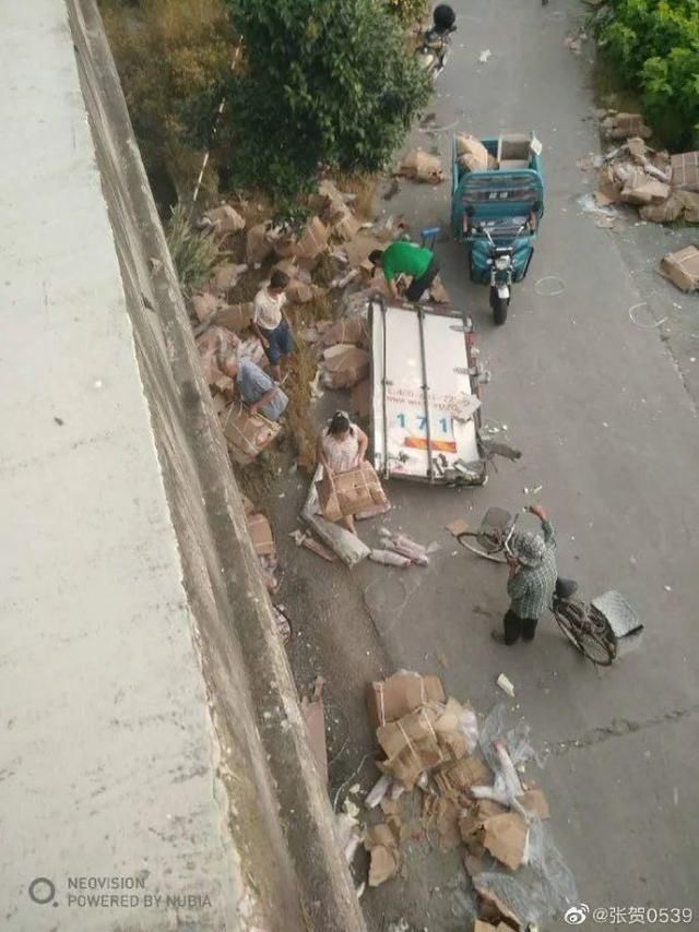  张先生|货车遭遇事故，7吨猪肉被村民疯抢，车主苦苦哀求也没用....