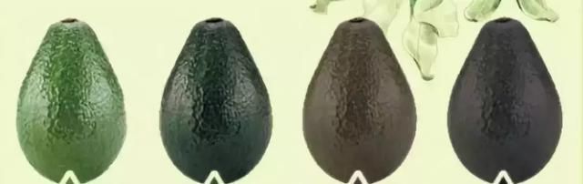  适量|吃好牛油果, 健康环抱我~