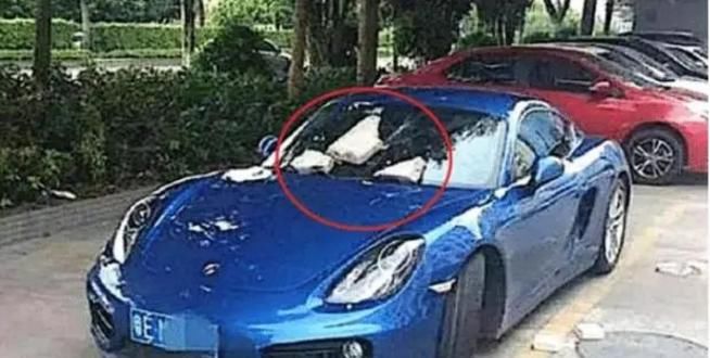  保时捷|保时捷霸占两个车位，好心大爷两块石头砸过去，看到车头脸变了