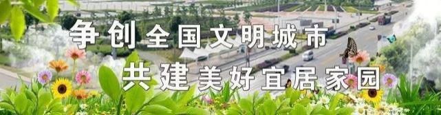  全过程|营业厅大门被撬！监控记录作案全过程…