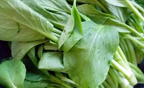  饺子|这菜常吃但没包过饺子，比白菜便宜，比人参营养，30个不够吃