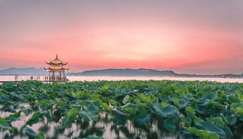  杭州|去了杭州才知道，这才叫生活