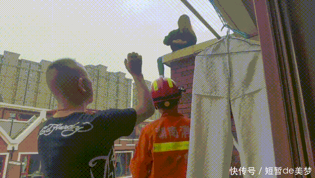 女子|女子跳楼，邻居看不下去了！