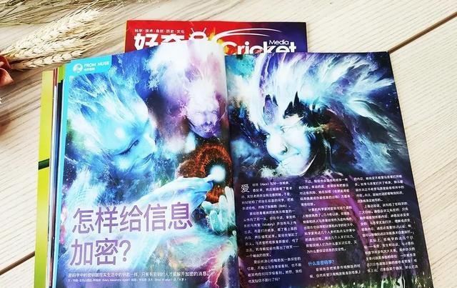  美国|美国顶尖儿童杂志授权，满足6-12岁孩子所有好奇心