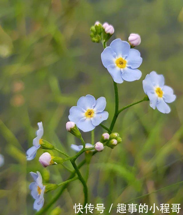 心情舒畅|让你心情舒畅的句子，经典大气，越看越宽心！