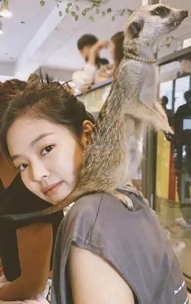 vintage|在哪儿最容易偶遇虞书欣？