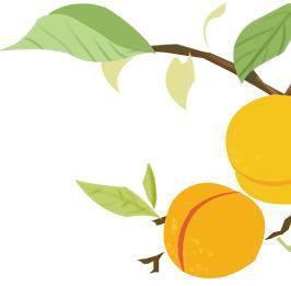 守护者|兴国鱼丝与它的守护者们