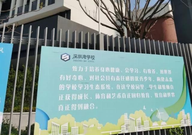 深中|读不懂深中的王铮时代，就无法理解深圳湾学校