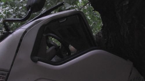  郭平宇|一场疾风暴雨，大树倾倒，树下货车被砸了！