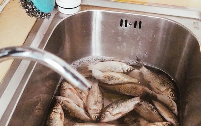  保鲜|鱼类保鲜全攻略，卖鱼人三十年的老经验8个方法，让你的鱼更新鲜