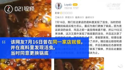 敲诈|世界冠军聚餐吃火锅吃出活虫，老板竟报警称其敲诈：太职业了！