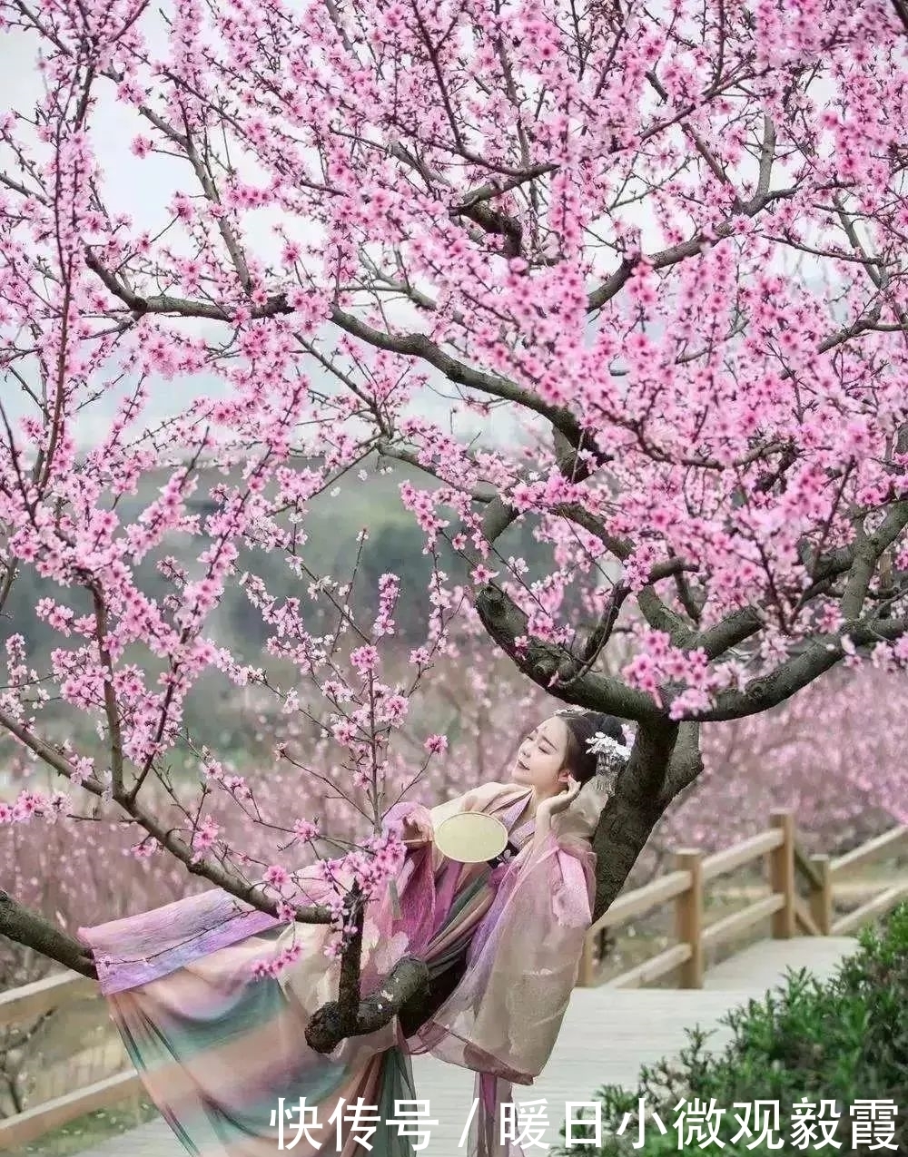 浅谈|浅谈秀丽东方IP对成都公园城市建设的借鉴作用