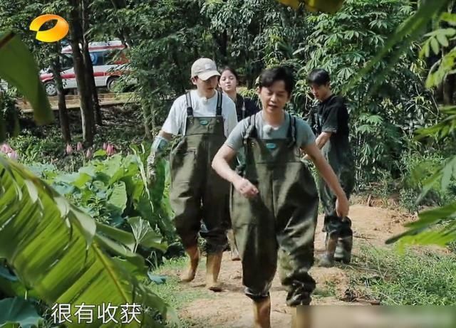  有无|《向往的生活》有无下一季？宋丹丹酿菠萝酒，何炅第一反应引热议