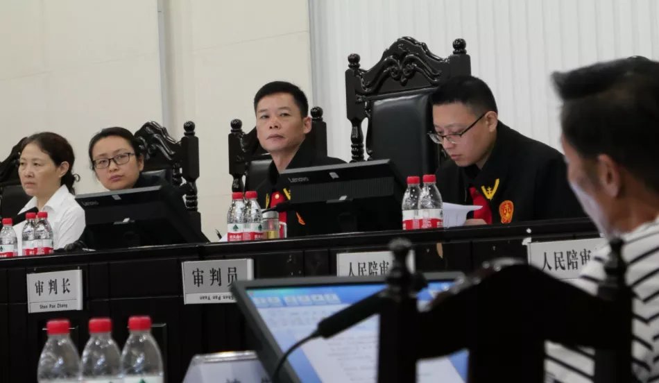 保护|长沙男子猎捕4只野生斑鸠，被判义务参与野生动物保护宣传活动3次