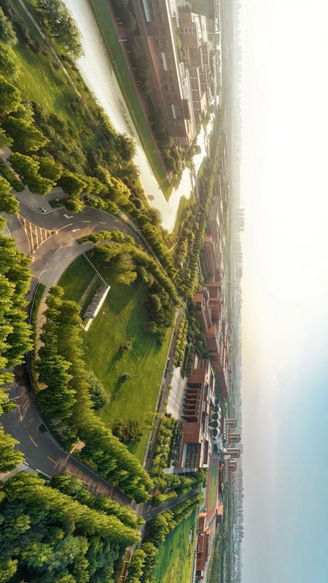 北洋园|啊,我的天大啊!