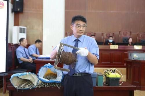 许某某|非法猎捕23只獐子!判刑+赔偿野生动物资源损失