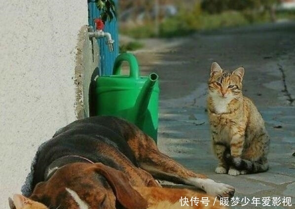 泡泡浴|“第一次在女友家洗泡泡浴,打开浴室门没想到...”画面太美不敢看,哈哈哈哈