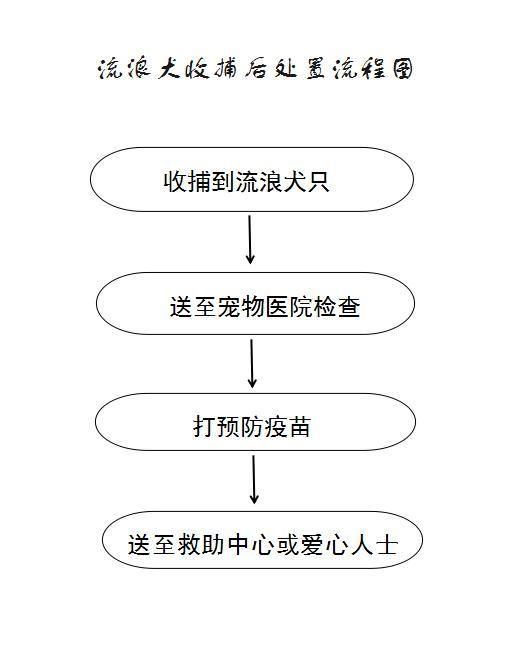  甲秀楼|网传“花果园开始大面积抓不栓绳的狗”，实际情况是……