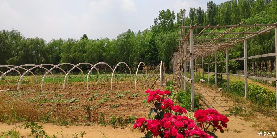  度假村|泗水万紫千红度假村一日游