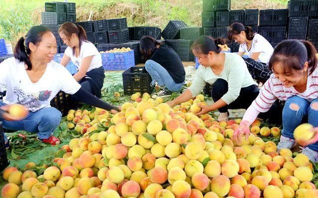  小康|跨步小康　瓮安筑牢全民幸福生活