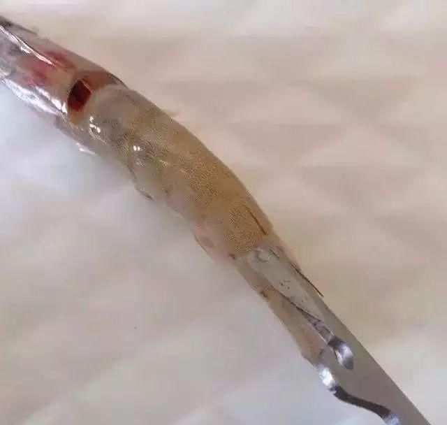 切成|教你切花刀!轻松做出鱿鱼花卷、开背虾、松鼠鱼→