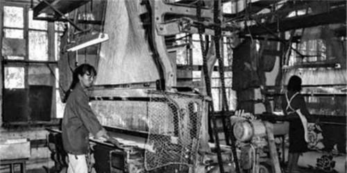  再次出现|1963年，女会计携巨款失踪，再次出现时，她已在水泥地里沉睡21年