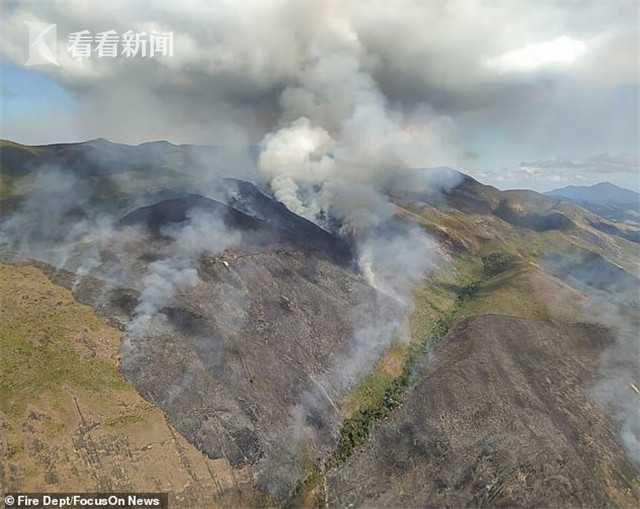  雨林|老人烧车骗保 意外点燃1257个足球场面积雨林