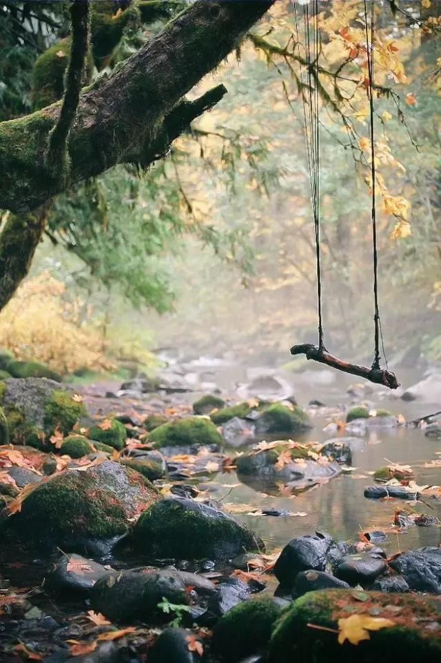  闲则能|偷得浮生，半日闲