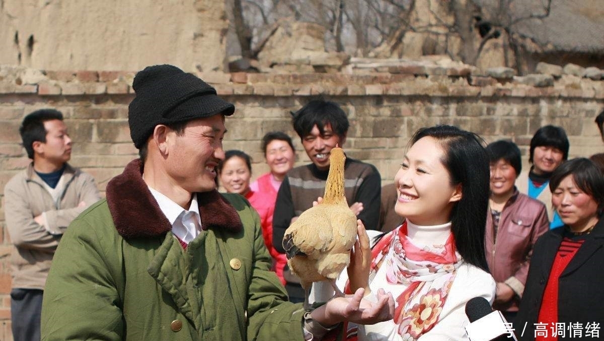 揭露|央视主持不再沉默,揭露朱之文家庭真实情况