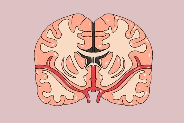  种现象|睡觉时，双脚突然蹬一下，有踩空感，像从高楼坠落，是咋回事？