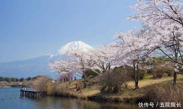 日本|还在小瞧日本? 来看看真正的日本, 发达程度恐怖如斯!