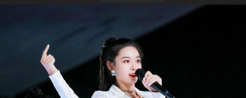  徐艺洋|徐艺洋参加过中国好声音吗