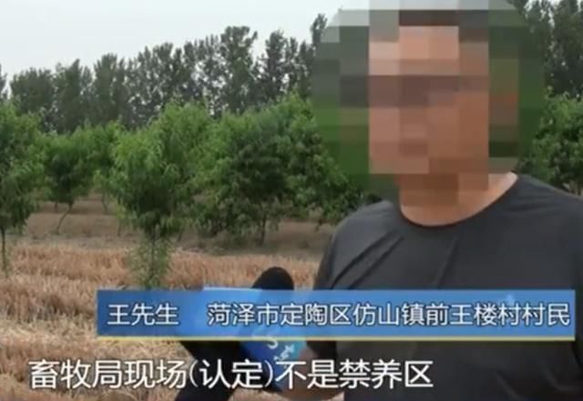  项目|男子投资2000万建养猪场，到最后一道手续遭拒，负责人：只要动工我就查你