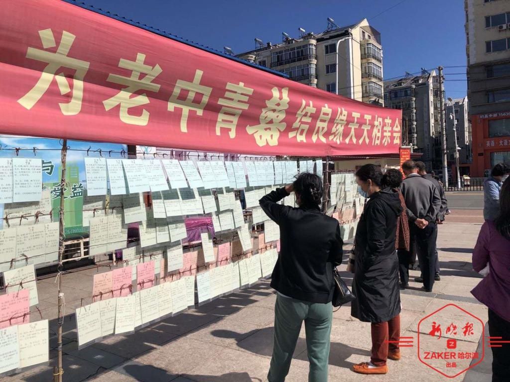 哈市|七十而爱，下半场爱情靠啥|哈市高龄老人婚恋调查