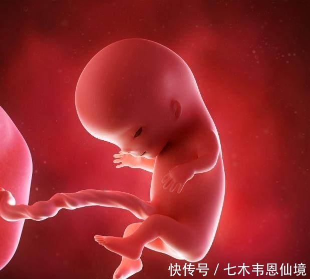  医生|四维做到一半，小家伙竟然在妈妈腹中干“坏事”，连医生都乐了