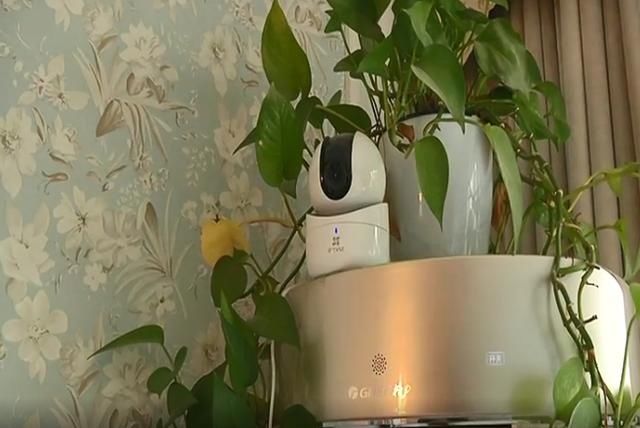  老人|住家保姆包藏祸心 骗老人面容识别 20多万元全部转走