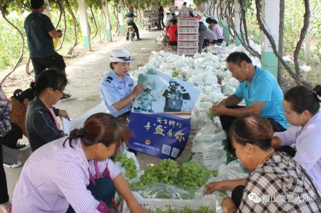 稷山|?稷山交警进葡萄园