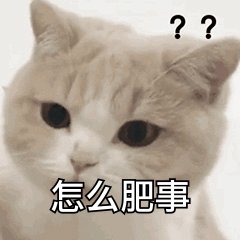  赵师傅|“帮帮我！我爸怎么叫都叫不醒！”