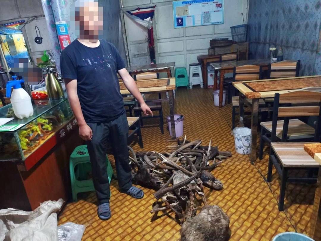  非法|非法收购、出售野生动物制品 男子被刑拘