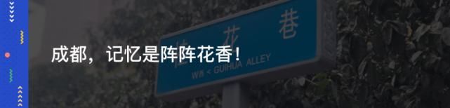  综艺|哦豁！成都人的情感生活，被杨超越和戚薇“盯”上了！