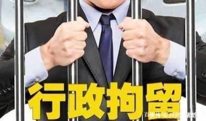 只黑天鹅|网红鲤鱼被偷捕,网红黑天鹅进高压锅,他们被拘后的理由让人无语