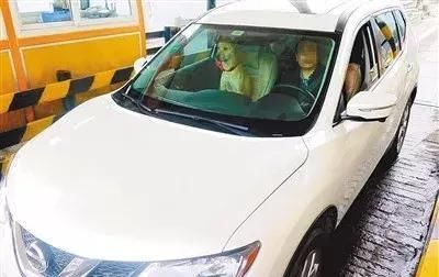  情况|这种情况下，副驾驶没坐人也算违法！