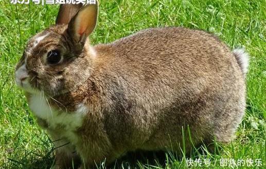  男子|公交车上，两男子对骂，旁边一个男的说了句话，被俩男子暴打